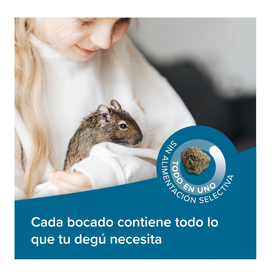 Beaphar Care+ Ra&ccedil;&atilde;o para degus, , large Imagem n&uacute;mero 4