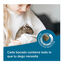 Beaphar Care+ Ração para degus, , large Indicador imagem número 4