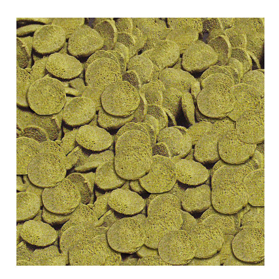 Sera Wels-chips alimento para peixes, , large Imagem n&uacute;mero 2