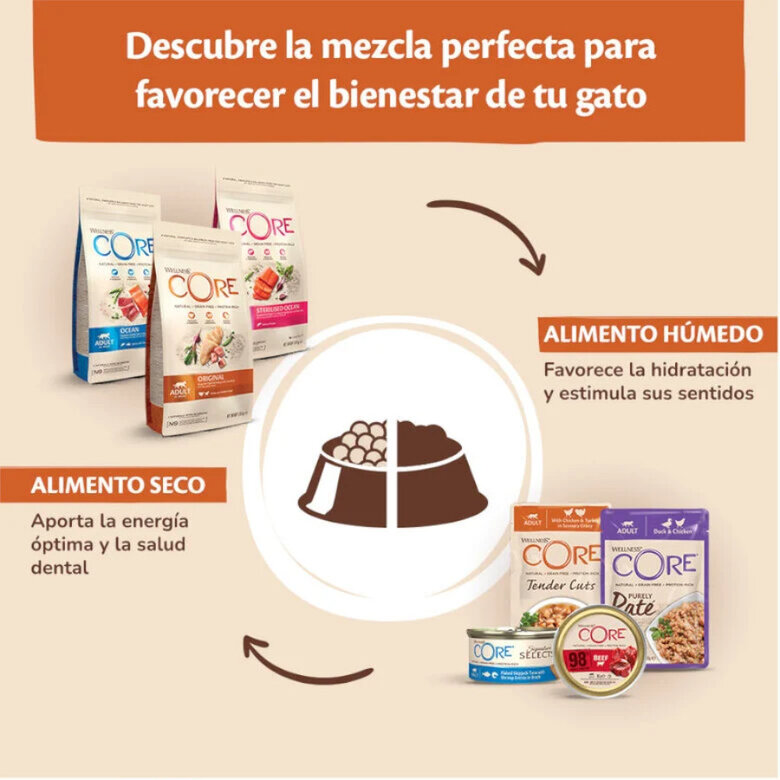 79 g Wellness Core Chunky frango e peru lata para gatos,  Imagem número 4 79 g Wellness Core Chunky frango e peru lata para gatos, , large Imagem número 4
