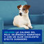 Ceva Douxo Spa Shampoo Anti-Odor para Cães, , large Indicador imagem número 6