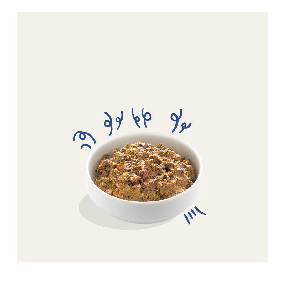 150 g Edgard y Cooper Peru Terrinas comida h&uacute;mida, , large Imagem n&uacute;mero 2