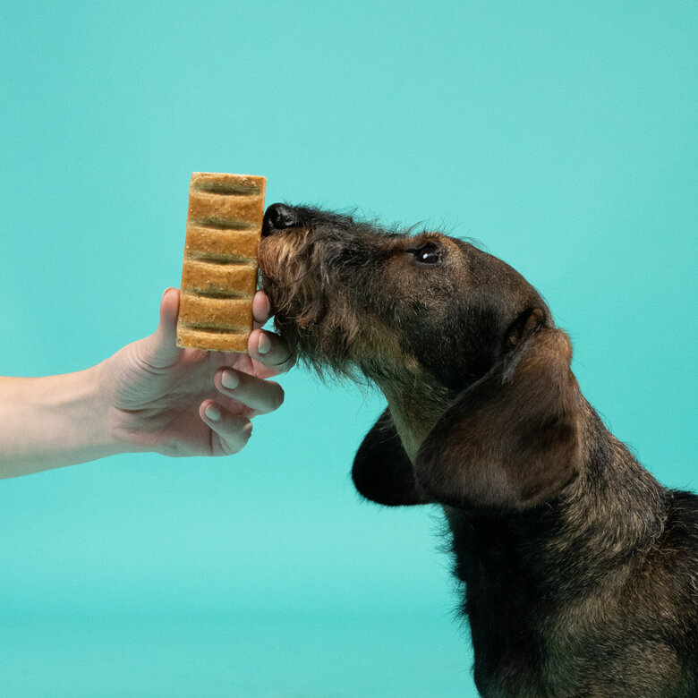 1 stick Edgard y Cooper sticks de Borrego e Peru para cães,  Imagem número 3 1 stick Edgard y Cooper sticks de Borrego e Peru para cães, , large Imagem número 3
