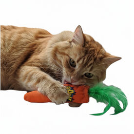 BAM! Peluche Cenoura com catnip para gatos