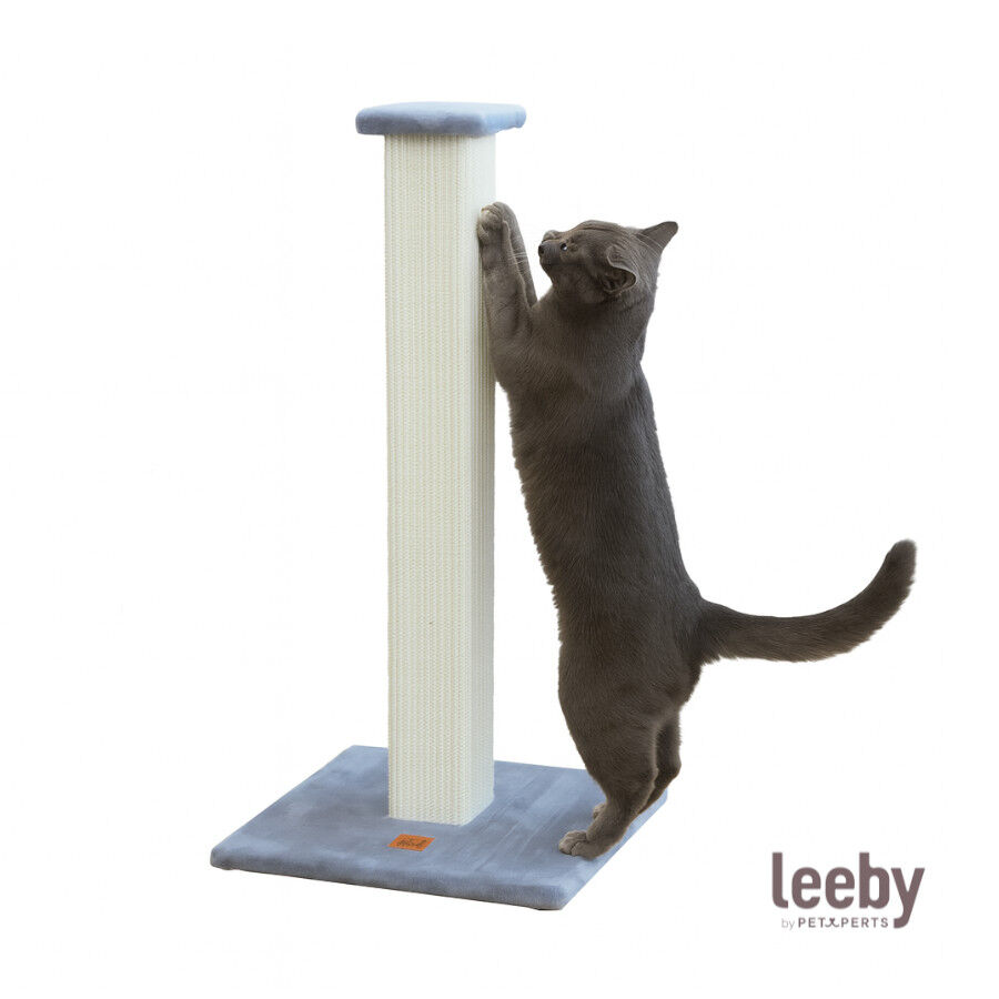 Leeby Vida arranhador de sisal quadrado azul para gatos, , large Imagem n&uacute;mero 2