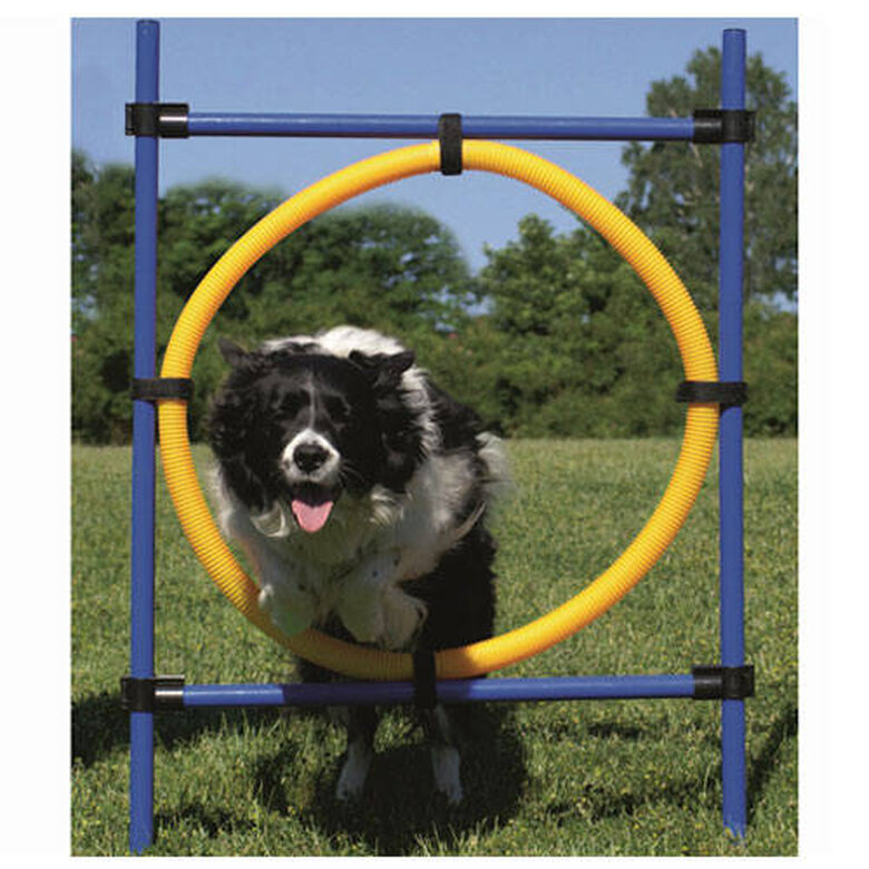 Ribecan aro de salto agility para perros image number null