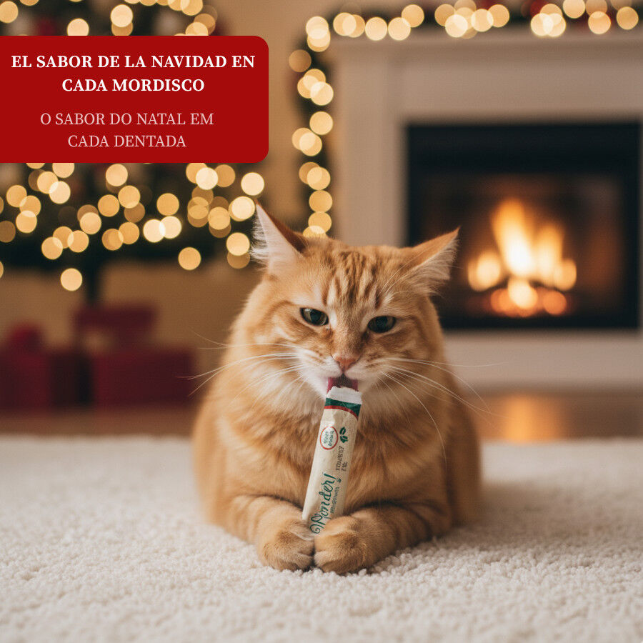 1 saqueta Wonder Christmas Snack l&iacute;quido de Natal para gatos, , large Imagem n&uacute;mero 4