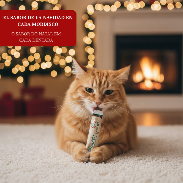 1 saqueta Wonder Christmas Snack líquido de Natal para gatos,  Imagem número 4 1 saqueta Wonder Christmas Snack líquido de Natal para gatos, , large Imagem número 4