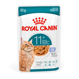 Royal Canin Ageing +11 Alimento Húmido em Gelatina para gatos sénior.