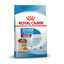 1 kg Royal Canin Medium Starter Mother&Baby ração para cães, , large Indicador imagem número 1