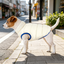 Goto Casaco Acolchoado Revers&iacute;vel para c&atilde;es, , large Indicador imagem n&uacute;mero 1