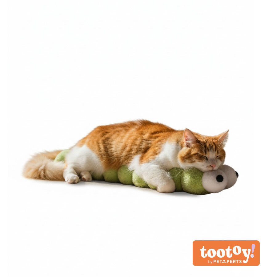Tootoy! Comfort & Relax Brinquedo Olhos de Minhoca para gatos, , large Imagem n&uacute;mero 9