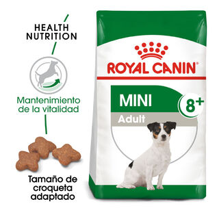 Royal Canin Adult +8 Mini ração para cães