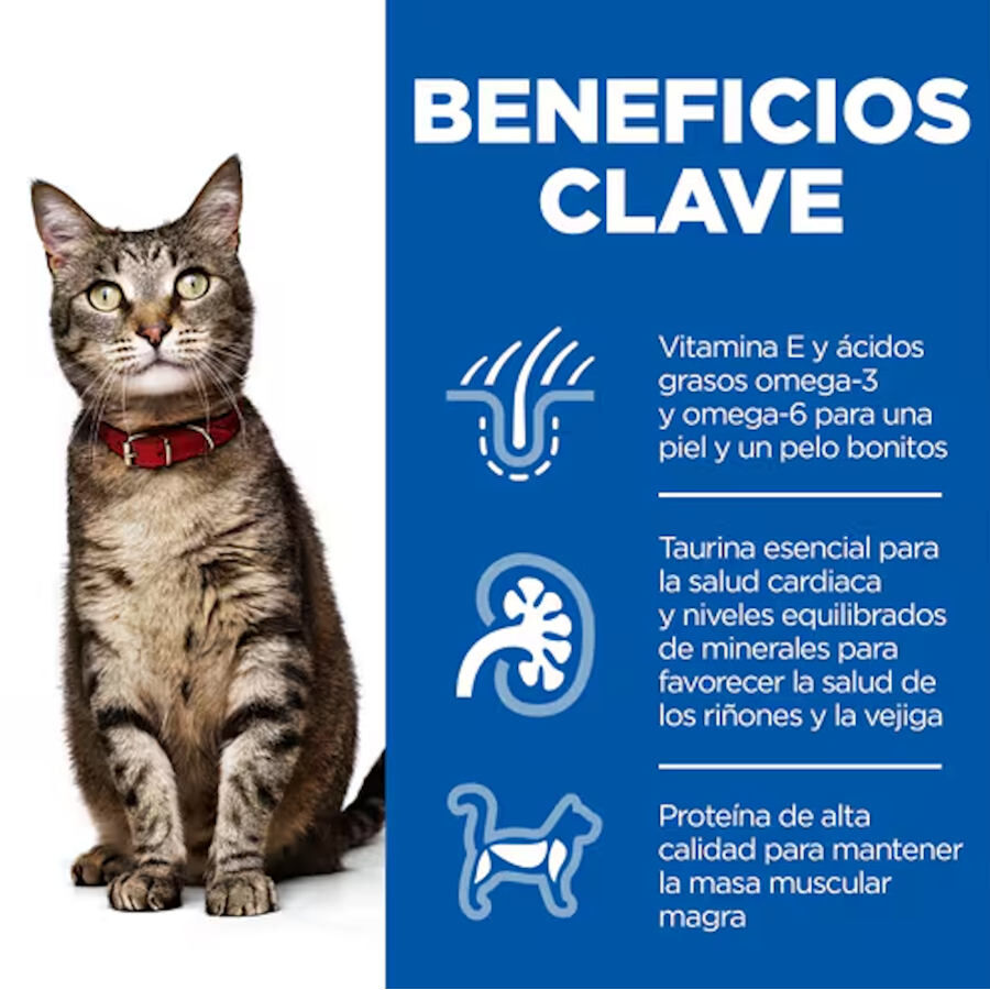 24 saquetas x 85 g Hill's Science Plan Adult Frango, Peixe Azul e Carne em Molho para Gatos Pack poupan&ccedil;a!, , large Imagem n&uacute;mero 2