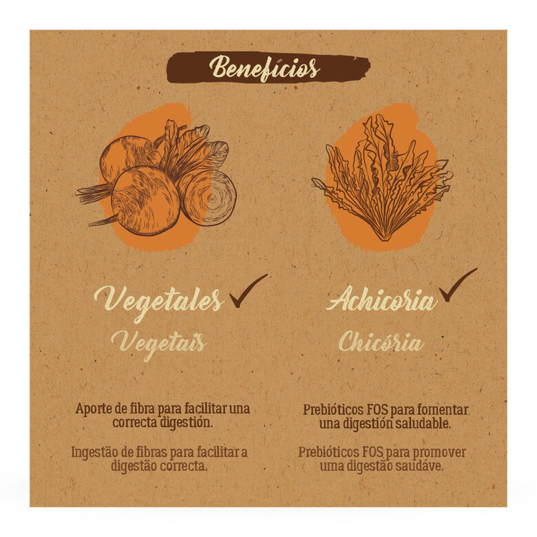 2 kg True Origins Pure Kitten Poultry Frango ração para gatos,  Imagem número 6 2 kg True Origins Pure Kitten Poultry Frango ração para gatos, , large Imagem número 6