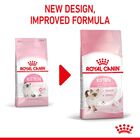 Royal Canin Kitten ração para gatos, , large image number null