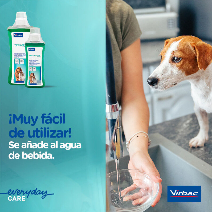 Virbac Vet Aquadent Elixir Bucal para c&atilde;es e gatos, , large Imagem n&uacute;mero 5