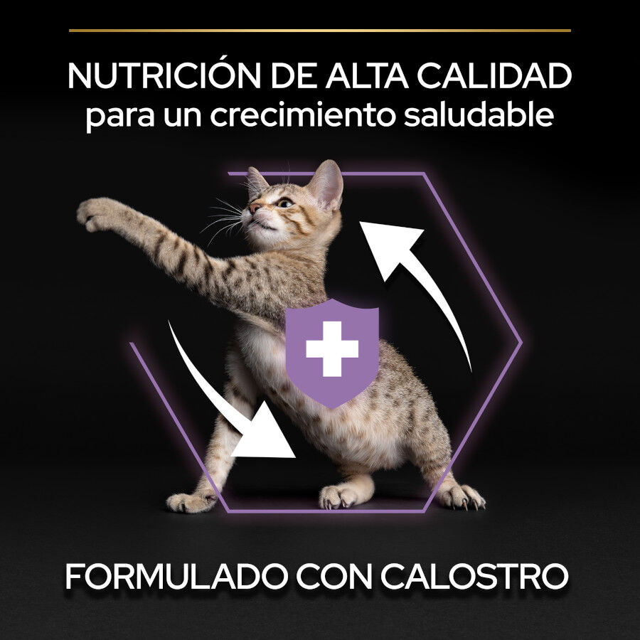 3 kg Pro Plan Junior Frango ra&ccedil;&atilde;o para gatos, , large Imagem n&uacute;mero 6