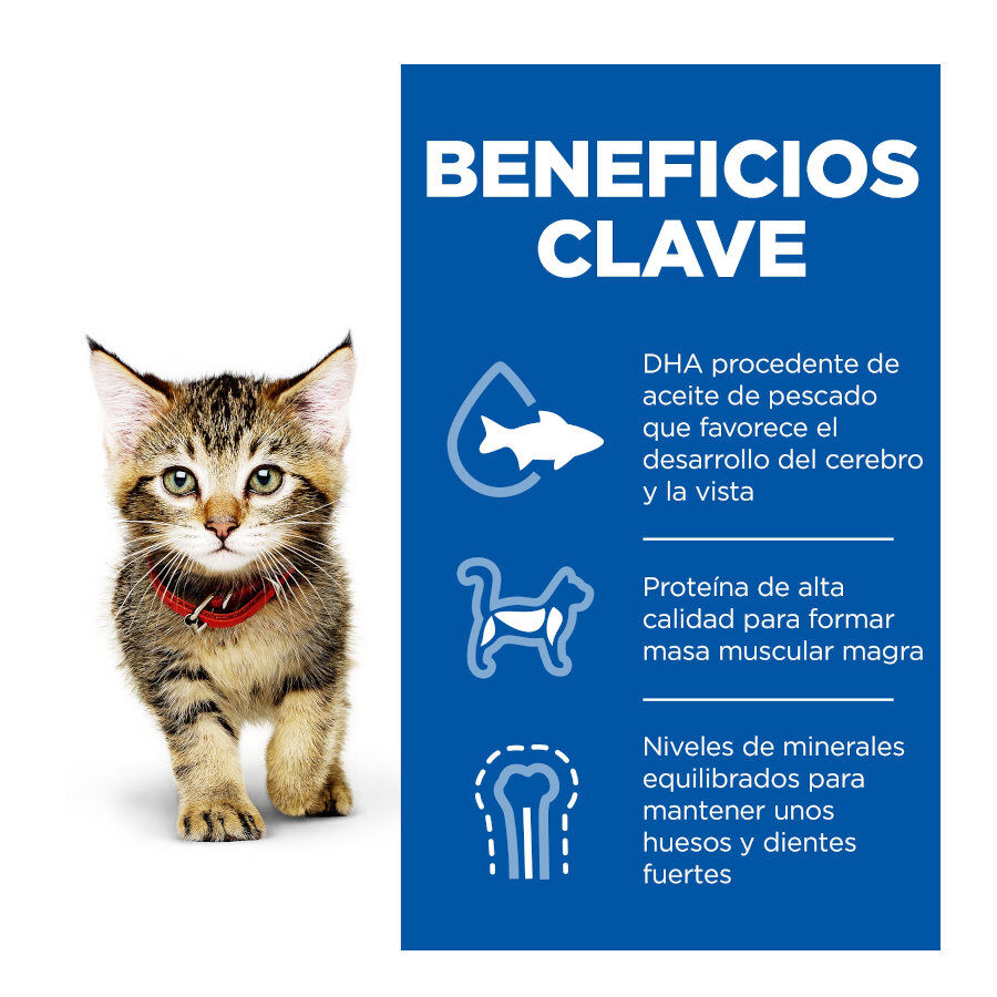 12 saquetas x 85 g Hill's Science Plan Kitten Frango e Peru em Molho Sach&ecirc; para Gatos, , large Imagem n&uacute;mero 4
