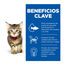 12 saquetas x 85 g Hill's Science Plan Kitten Frango e Peru em Molho Sach&ecirc; para Gatos, , large Indicador imagem n&uacute;mero 4
