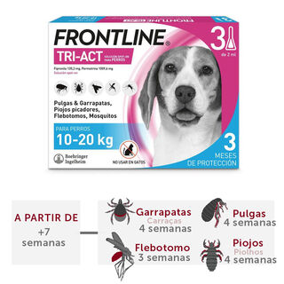 Frontline Tri-Act Pipetas Antiparasitárias para cães 10 - 20 kg