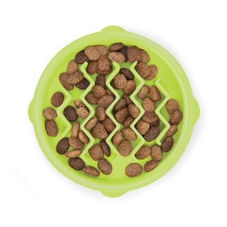 Outward Hound Catstages Cat Fun Comedouro Anti-Voracidade Verde para gatos