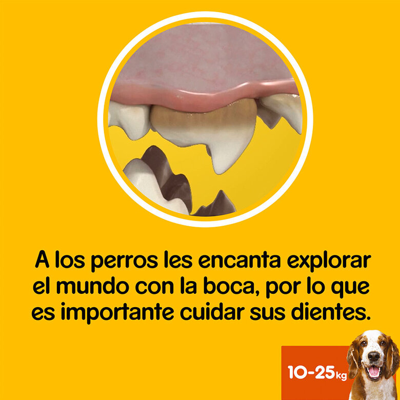 Pedigree Dentastix Snacks Dentários para Cães Médios, , large image number null