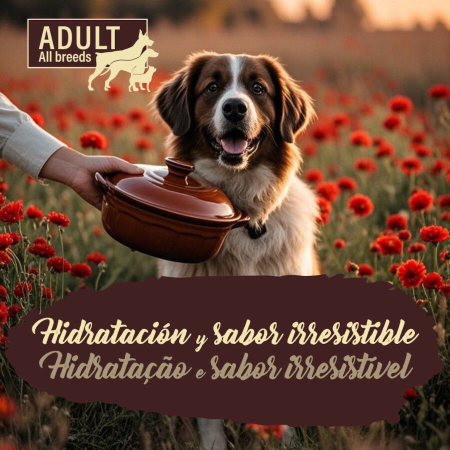 300 g True Origins Pure Adult Gently Coocked Ternera y Calabaza sobre para perros, , large Imagem n&uacute;mero 5