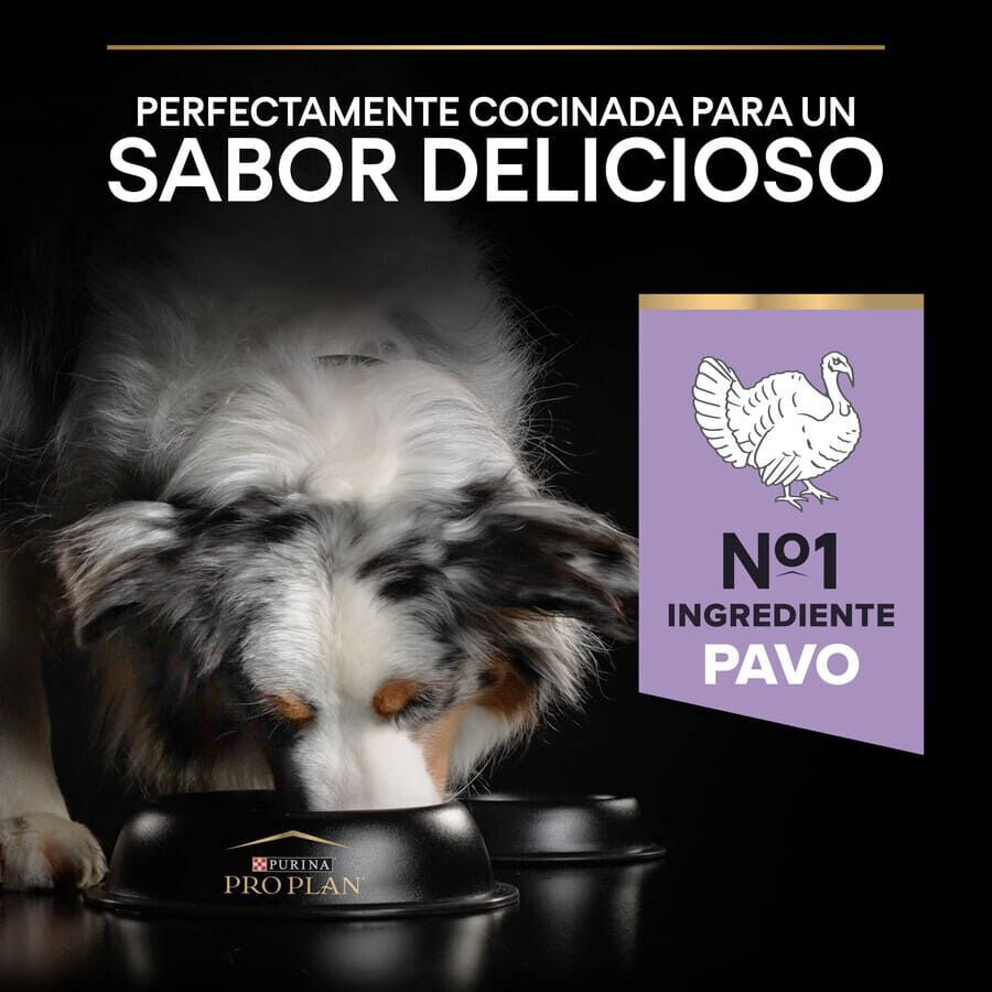 12 kg Pro Plan Sensitive Digestion Medium & Large Ra&ccedil;&atilde;o de peru para c&atilde;es, , large Imagem n&uacute;mero 7