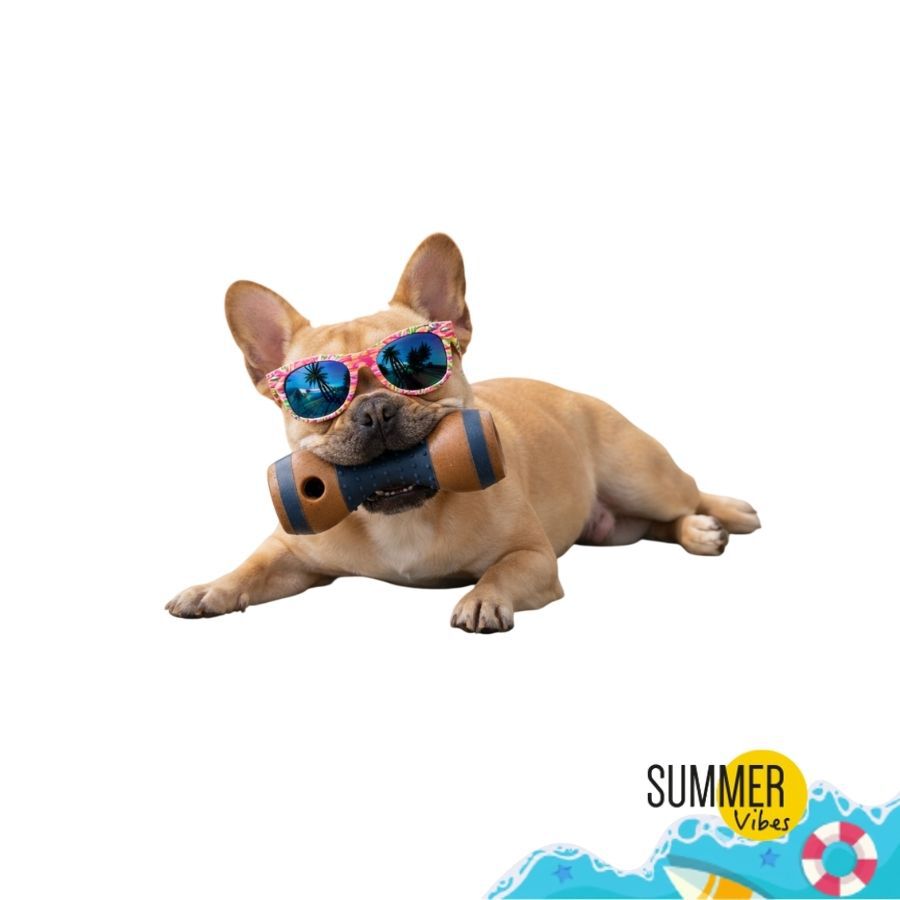 Summer Vibes Chew Dumbbell Mordedor para c&atilde;es, , large Imagem n&uacute;mero 8