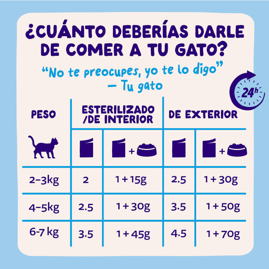 12 x 85 g Edgard & Cooper Catch of the day em molho em saquetas para gatos, , large Imagem n&uacute;mero 8