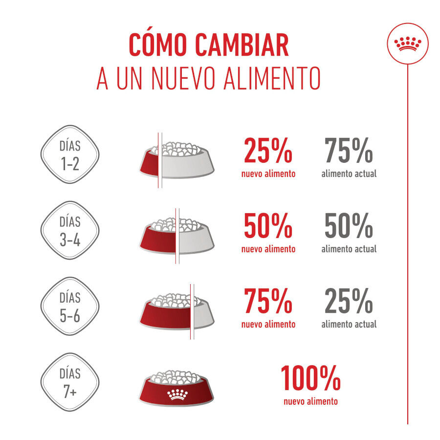 Royal Canin Starter Maxi MothereBaby ra&ccedil;&atilde;o para c&atilde;es, , large Imagem n&uacute;mero 8