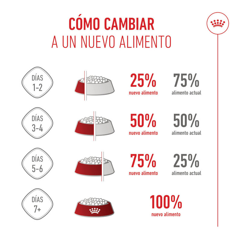 Royal Canin Starter Maxi MothereBaby ração para cães,  Imagem número 8 Royal Canin Starter Maxi MothereBaby ração para cães, , large Imagem número 8