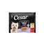 4 saquetas x 100 g Cesar Mistura de Carnes Geleia em Saquinho para C&atilde;es S&eacute;nior +8 - Multipack, , large Indicador imagem n&uacute;mero 1