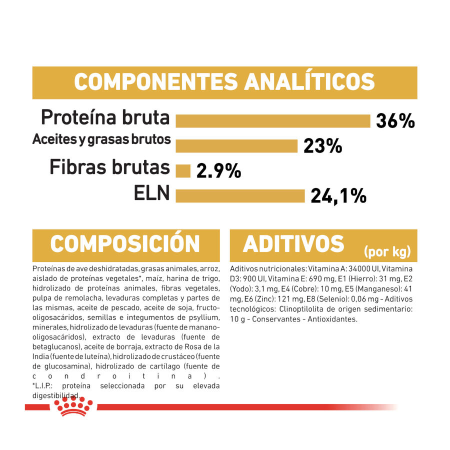 10 kg Royal Canin Kitten Maine Coon ra&ccedil;&atilde;o para gatinhos, , large Imagem n&uacute;mero 8