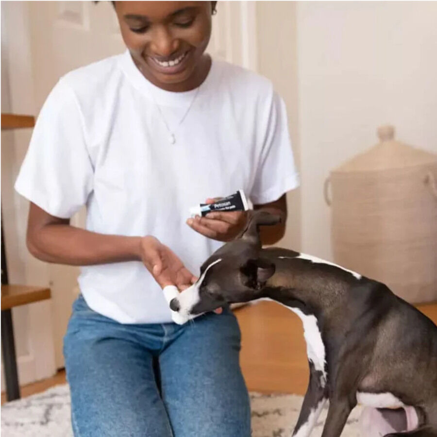 Petosan Kit dent&aacute;rio grande para c&atilde;es e gatos, , large Imagem n&uacute;mero 3