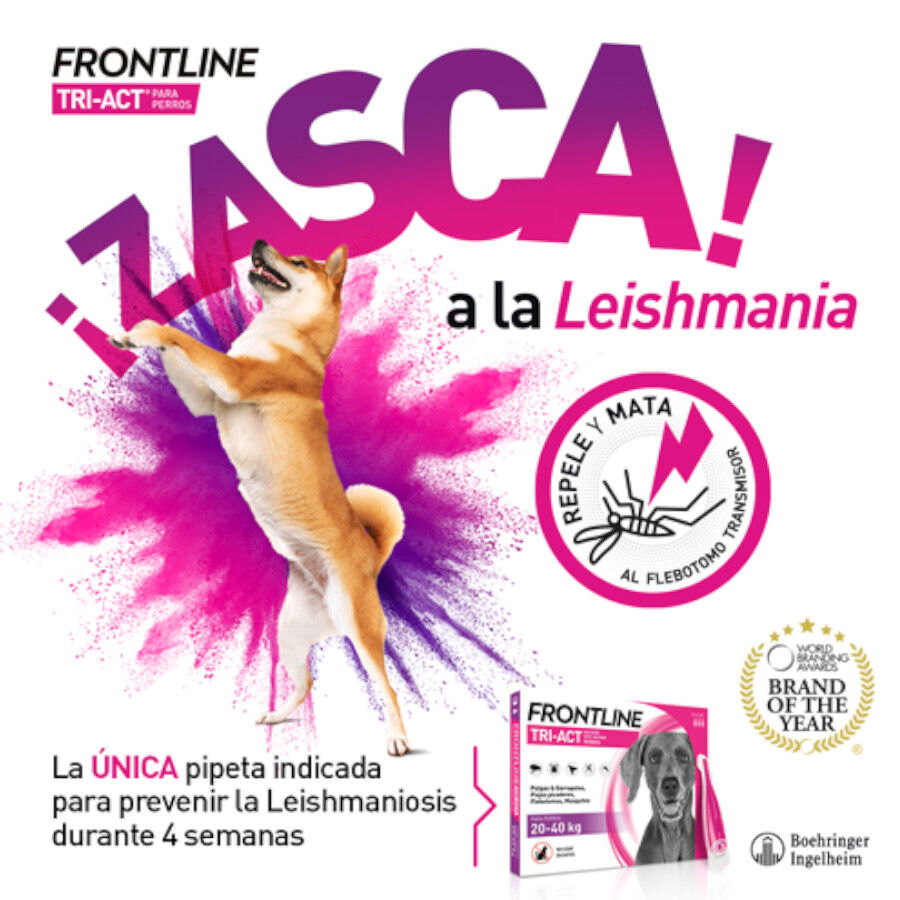 Frontline Tri-Act Pipetas Antiparasit&aacute;rias para c&atilde;es, , large Imagem n&uacute;mero 6