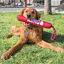 Kong Signature Stick Mordedor com Corda para cães, , large Indicador imagem número 2