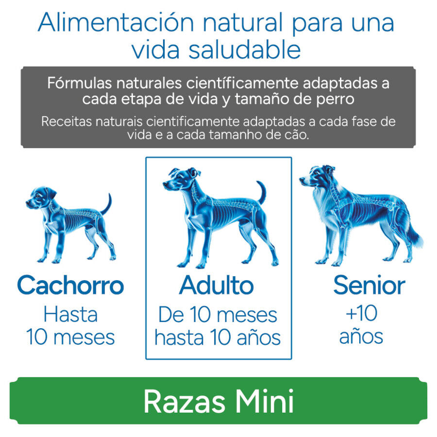 Criadores Cient&iacute;fico Adulto Mini Ra&ccedil;&atilde;o de frango para c&atilde;es, , large Imagem n&uacute;mero 11