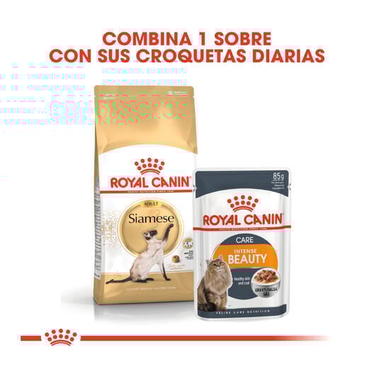 10 kg Royal Canin Adult Siam&ecirc;s ra&ccedil;&atilde;o para gatos, , large Imagem n&uacute;mero 3