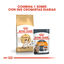 10 kg Royal Canin Adult Siamês ração para gatos, , large Indicador imagem número 3