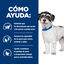 2 x 6 kg Hill's Prescription Diet j/d Metabolic + Mobility mini Adult ra&ccedil;&atilde;o para c&atilde;es Pack poupan&ccedil;a!, , large Indicador imagem n&uacute;mero 4
