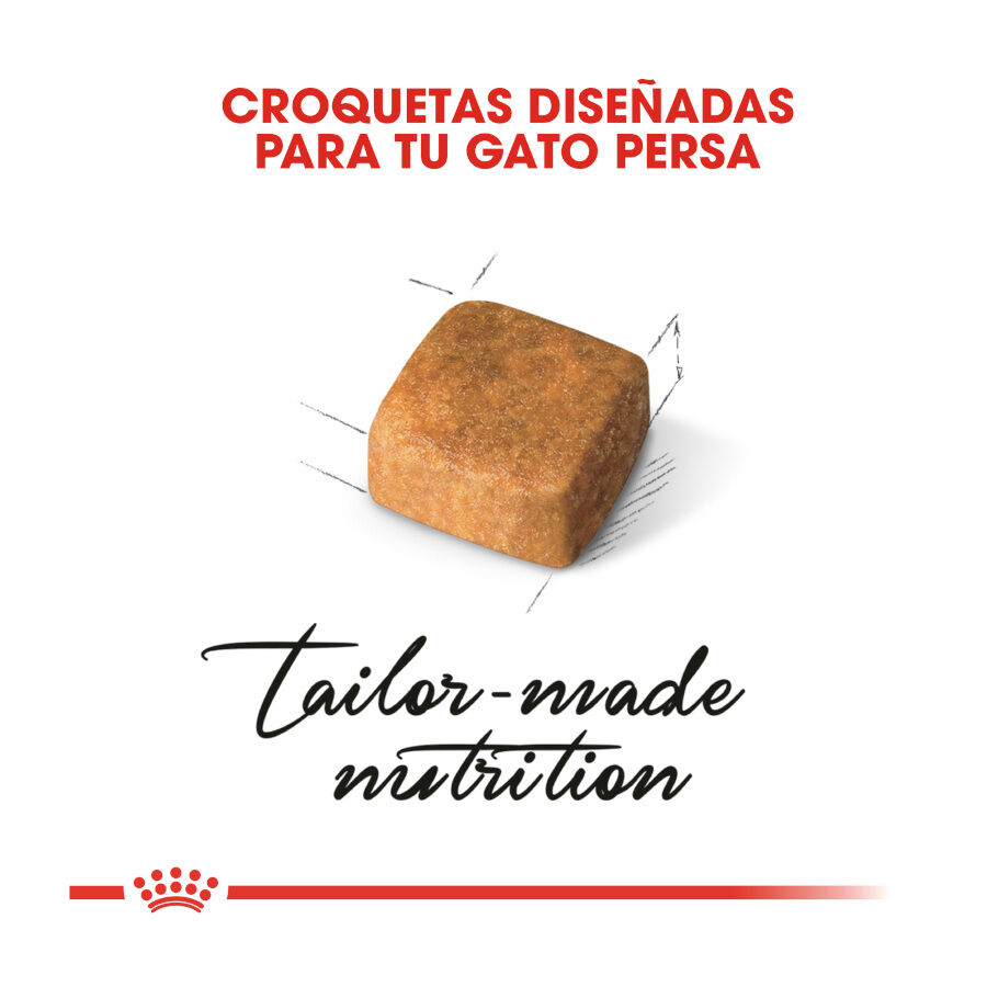 10 kg Royal Canin Kitten Persa ra&ccedil;&atilde;o para gatinhos, , large Imagem n&uacute;mero 5