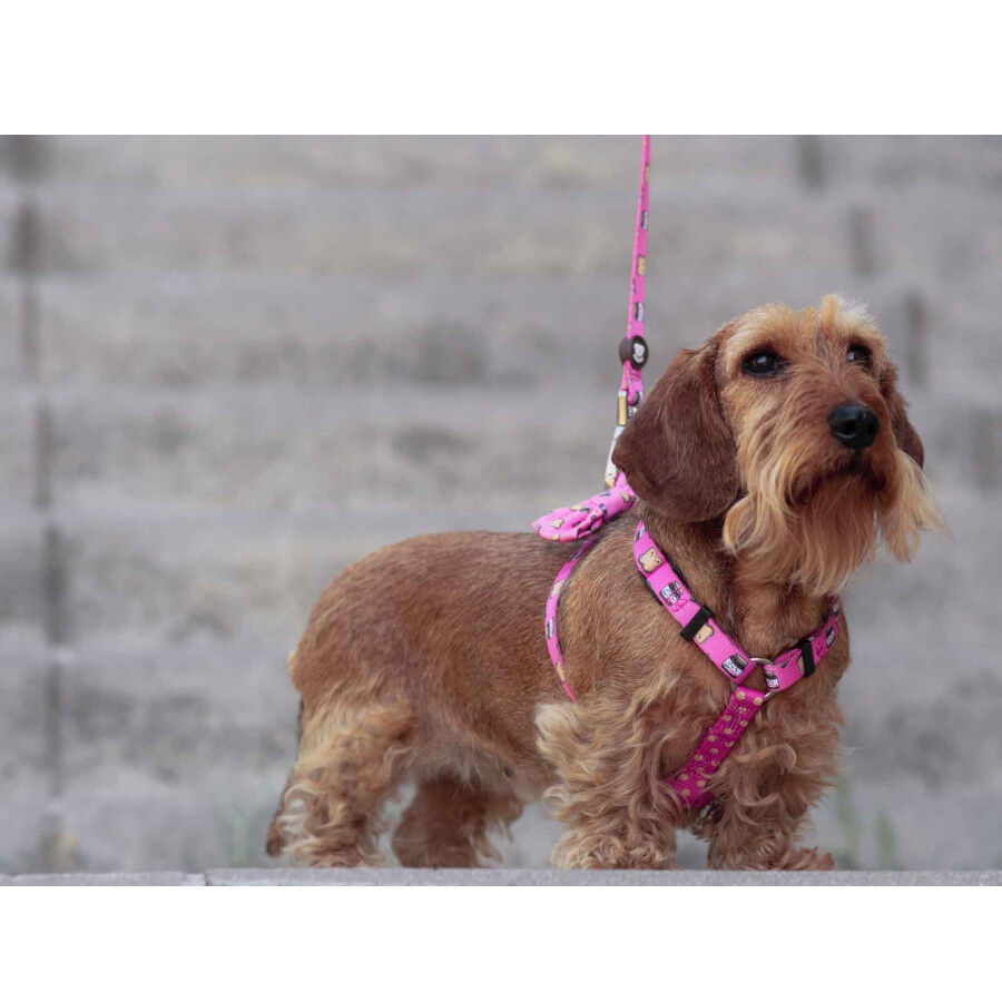 Dukier Dogtella Cl&aacute;ssico Peitoral estampado de Nutella para c&atilde;es, , large Imagem n&uacute;mero 3