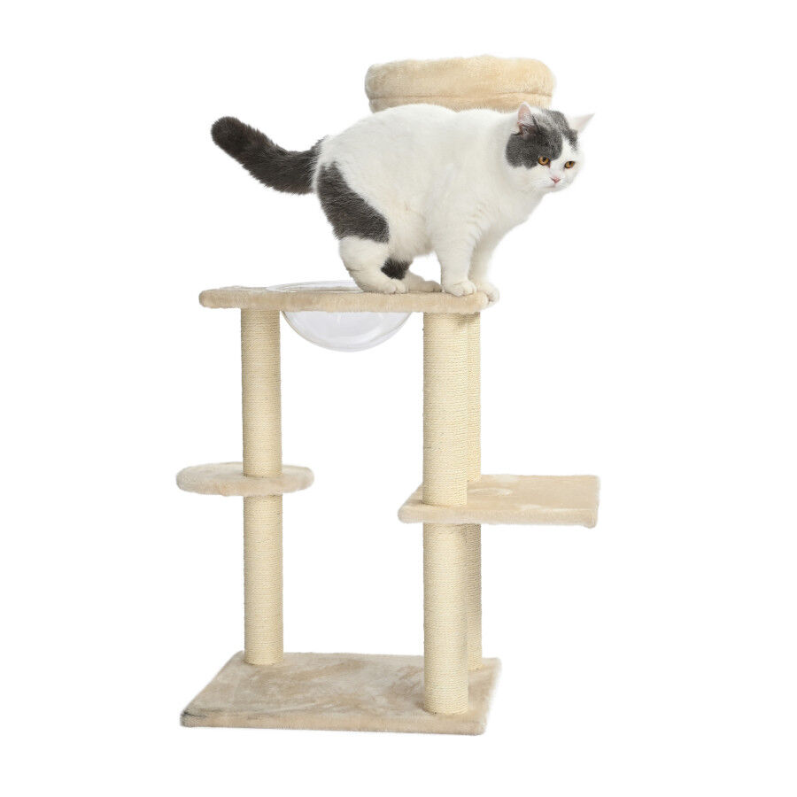 Leeby Luna &aacute;rvore arranhadora com cama e brinquedo para gatos, , large Imagem n&uacute;mero 6