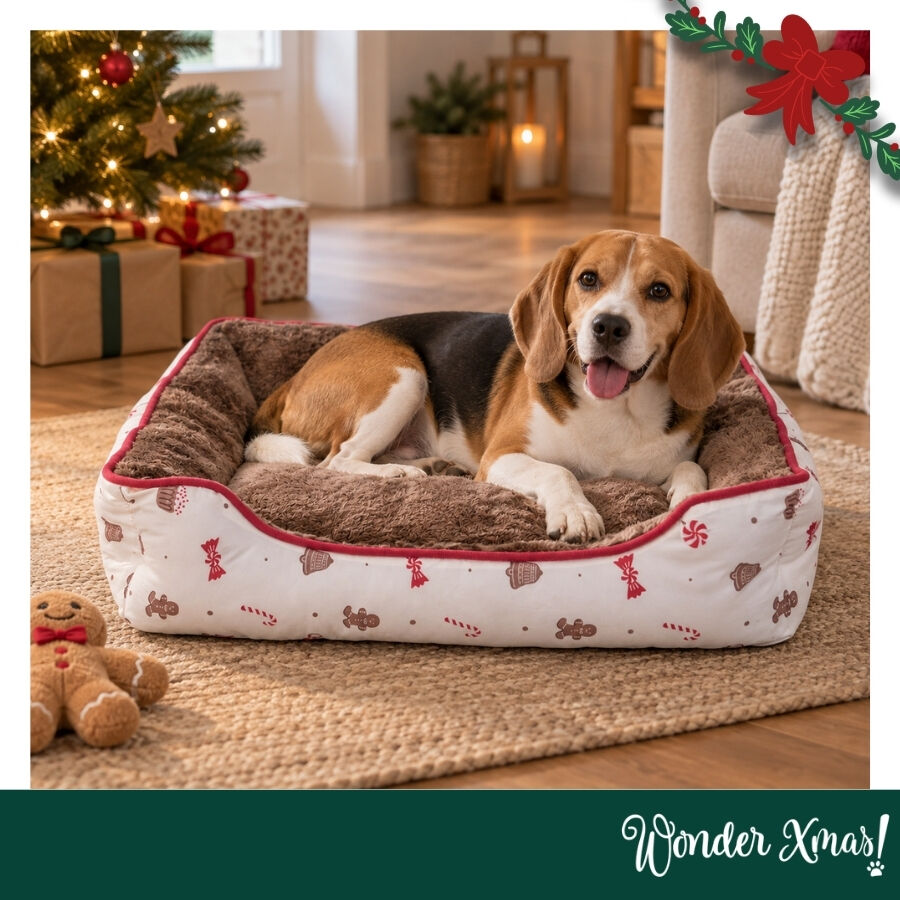 Wonder Christmas Cama para c&atilde;es, , large Imagem n&uacute;mero 2