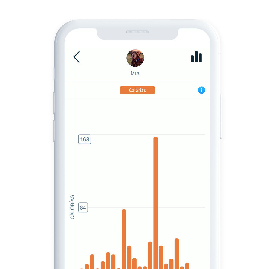 Sure Petcare Animo Monitor comportamental para c&atilde;es, , large Imagem n&uacute;mero 7