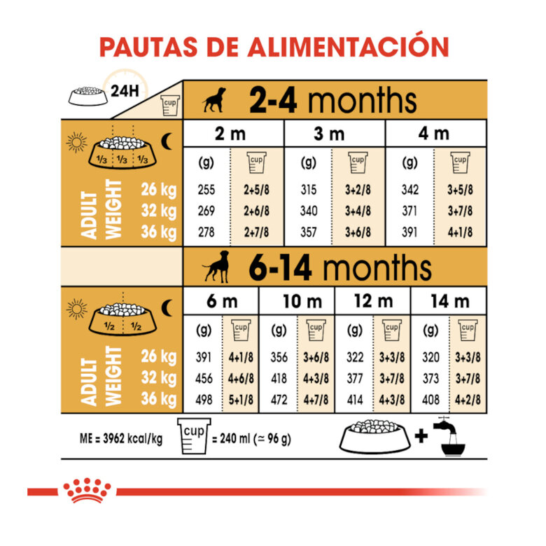 Royal Canin Puppy Boxer ração para cães,  Imagem número 9 Royal Canin Puppy Boxer ração para cães, , large Imagem número 9