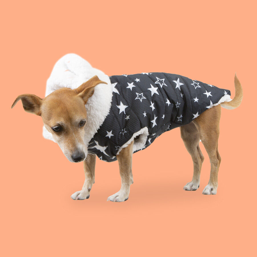 Outech Capa de Chuva Imperme&aacute;vel Com Estrelas para c&atilde;es, , large Imagem n&uacute;mero 2