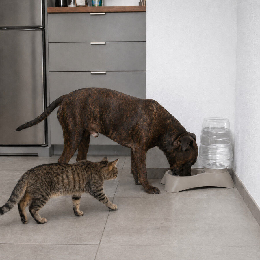 Leeby Dispensador de &Aacute;gua para c&atilde;es e gatos, , large Imagem n&uacute;mero 1